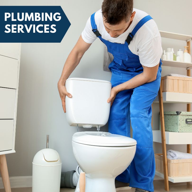Plumbing Company in Ionia, MI